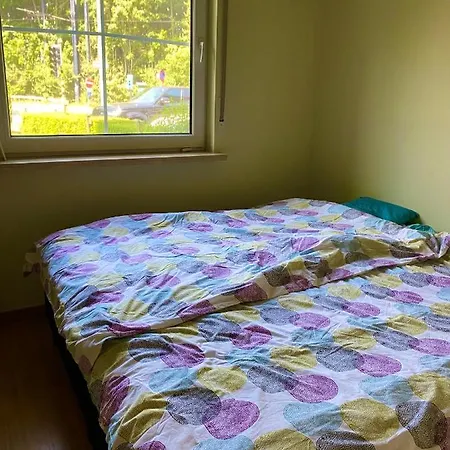Homestay In Flat 174 *
